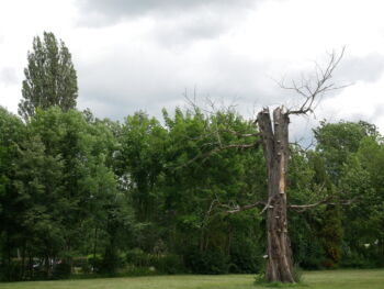 Liběchov