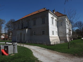 Radič
