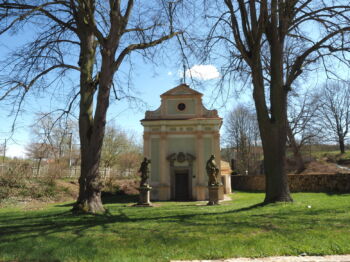 Radič