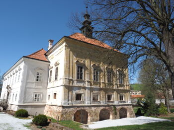 Radič