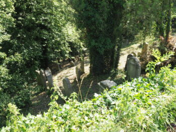 Židovský hřbitov v Pískové Lhotě