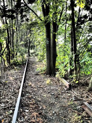 Jindřichovice pod Smrkem