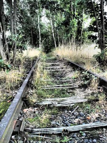 Jindřichovice pod Smrkem